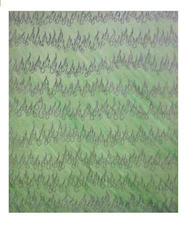 041.ML_GreenFlameField