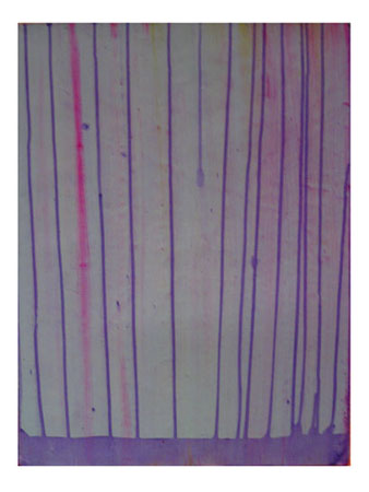130.ML_PurpleGrass